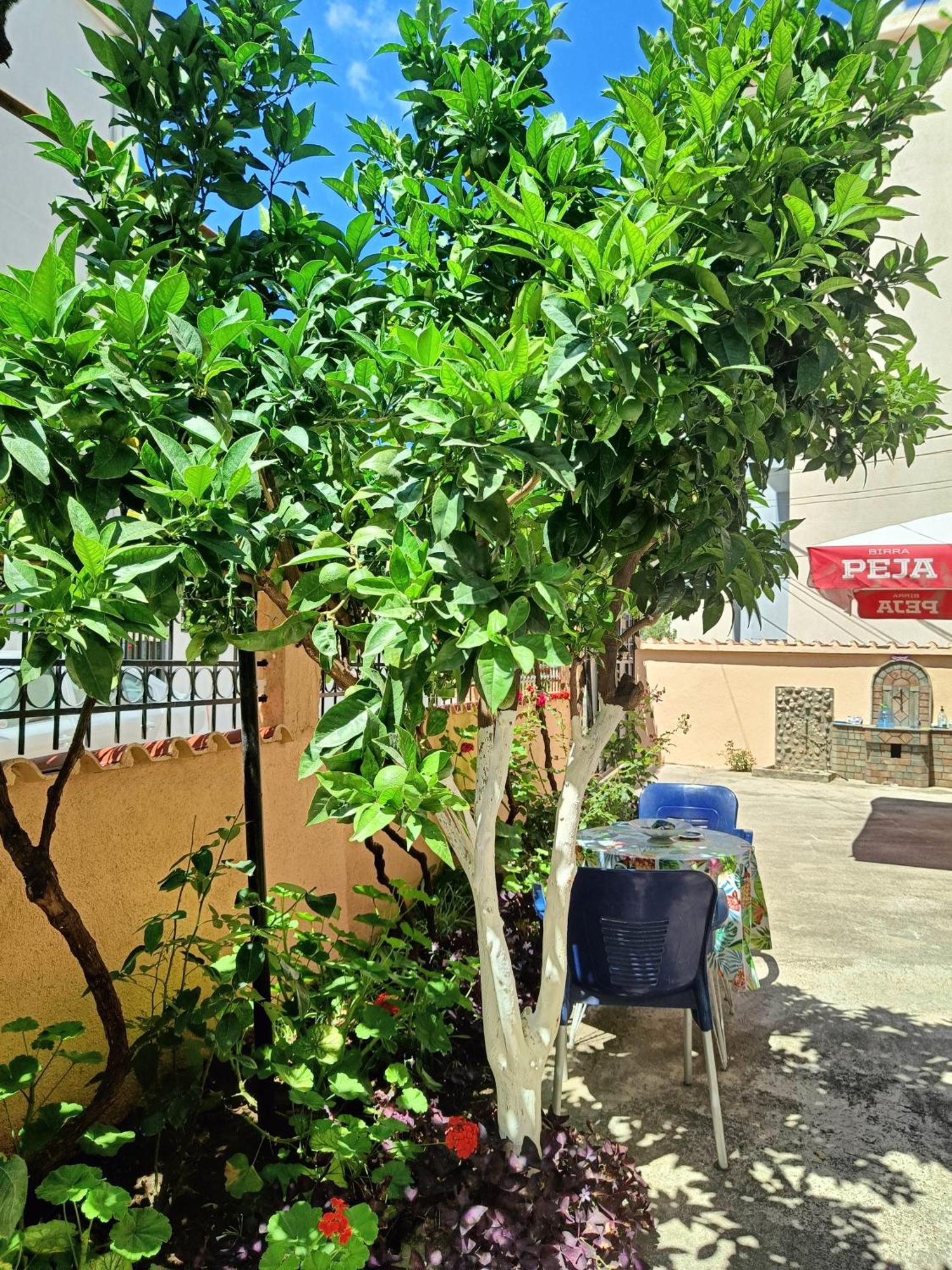 Vila Semako دراس المظهر الخارجي الصورة